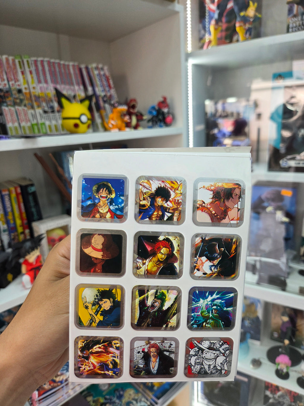 carnet stickers one piece (46 piece)